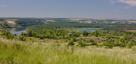 В Воронежской области могут начать добычу золота