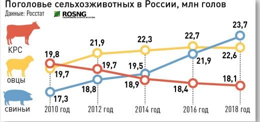 Обзор: Страны Африки, Вьетнам, Россия, Казахстан резко сокращают экспорт продовольствия, цены растут