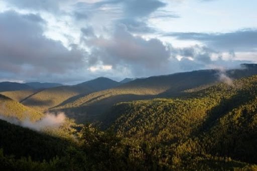 «Маристый» добывает золото в Зейском заповеднике