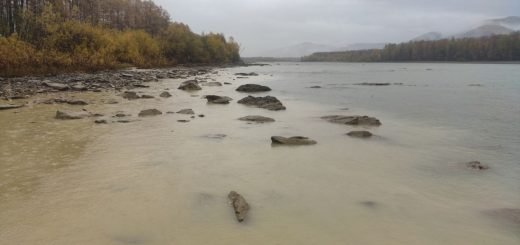 Ущерб водным объектам Амурской области на 5,5 млн рублей нанесли золотодобытчики