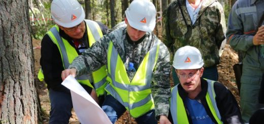 Опубликованы запасы месторождения «Пещерное»