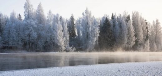 Томские золотодобытчики обсудили с экологами новый проект