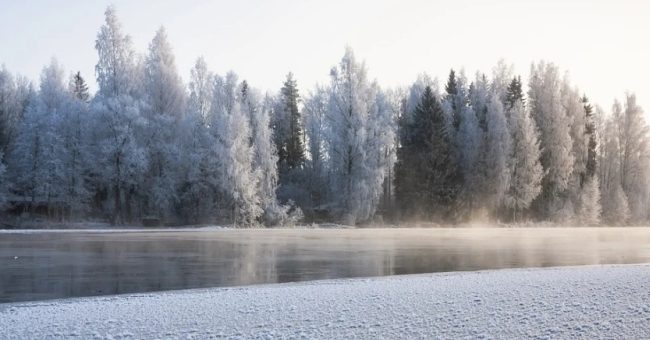 Томские золотодобытчики обсудили с экологами новый проект