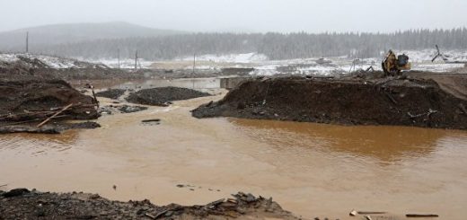 Один запрет на поиск золота не отчистит реки